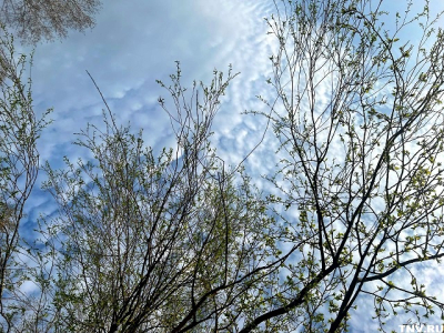 Тепло, но очень ветрено: чего ждать от погоды в Татарстане в середине недели