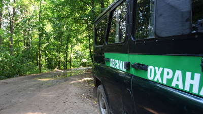 В лесах Татарстана проведено почти 13 тыс. патрулирований для борьбы с пожарами