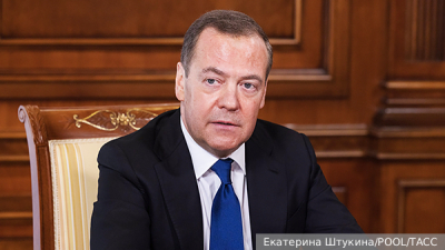 Неизвестные отравили газом 33 попугая в зоопарке в Ленинградской области